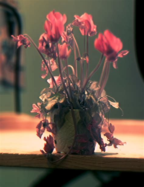 3D Scanner Camera 的图像结果