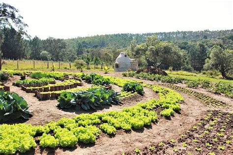 ESTANCIA PANGARE (Sarapui) - Villa Reviews & Photos - Tripadvisor