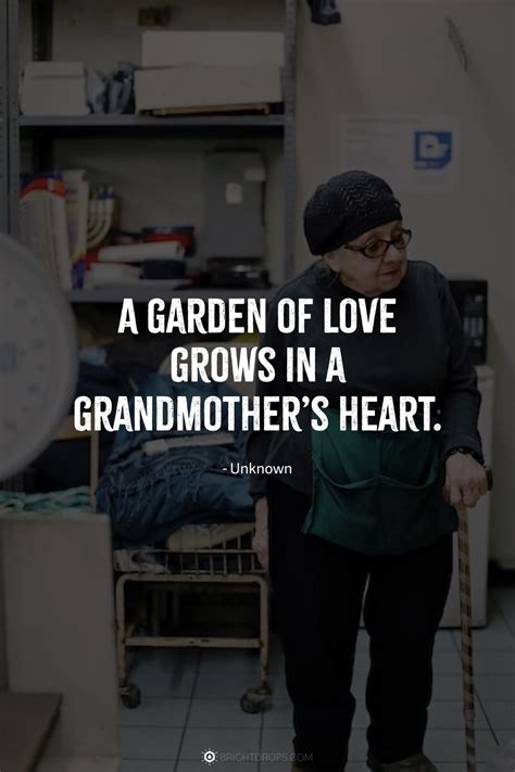 71 Heartfelt Grandma Quotes to Message Your Nana - Bright Drops