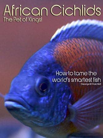 African Cichlids, The Pet of Kings! - How to tame the world's smartest ...