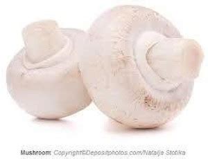 OMAZE MUSHROOM SPAWN SEEDS Seed Price in India - Buy OMAZE MUSHROOM ...