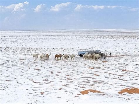 When deserts turn white: Saudi Arabia’s snowfall is a climate red flag ...