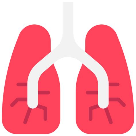 Lungs - Free healthcare and medical icons