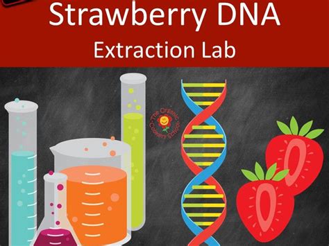 Extracting Strawberry DNA Lab 的图像结果
