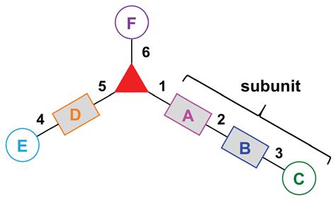Design, Synthesis, and Utility of Defined Molecular Scaffolds