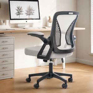 Drogo Ergonomic Computer Office Chair for Work from Home, Flip Up ...