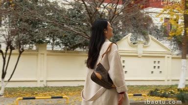 CityWalk 的图像结果