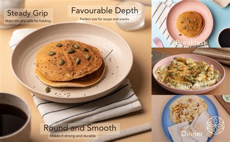 Buy Irida Naturals Unbreakable Wheat Straw Plates Set of 4-8 inches ...