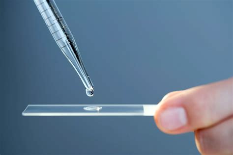 Using A Microscope Wet Mount at Emily Armytage blog