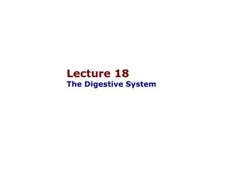 Image result for Digestive System Lecture