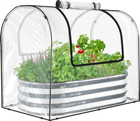 Amazon.com: Raised Garden Bed Kit with Greenhouse Cover and Carden ...