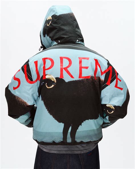Damien Hirst Meets Supreme in Spring 2025 | The Fashionography
