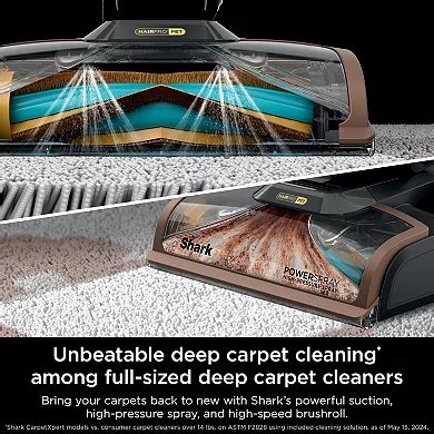 Shark® CarpetXpert HairPro Pet with StainStriker Upright Deep Carpet ...