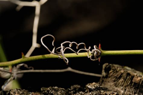 composition - How can I improve the crop on this photo? - Photography ...