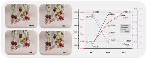 Fruit Distribution Density Estimation in YOLO-Detected Strawberry ...