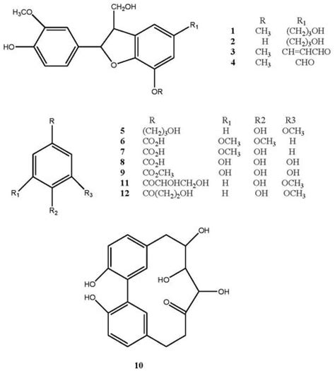 Hazelnut (Corylus avellana L.) Shells Extract: Phenolic Composition ...