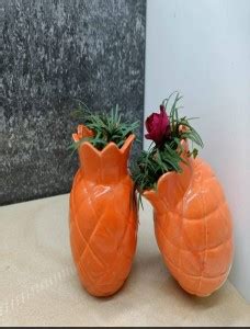 THE HIMALAYA CRAFT Plant Container Set Price in India - Buy THE ...