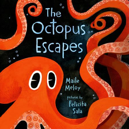 Image result for Octopus Escapes