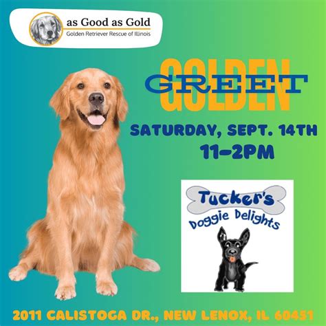 Golden Greet @ Tuckers Doggie Delights, Tucker's Doggie Delights, New ...