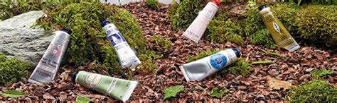 L'Occitane Dry Skin Shea Butter Intensive Hand Balm, 50gm : Amazon.in ...