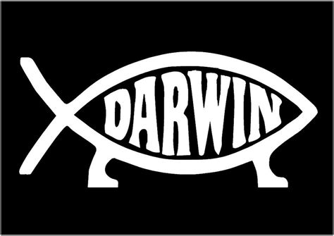 Image result for darwin decal car