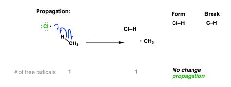Halogenation Reaction - Class 11 PDF Download