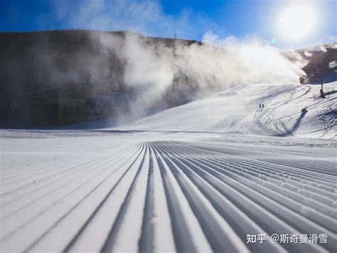 滑雪场 的图像结果