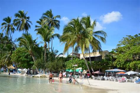 Bad business policy - Reviews, Photos - Boca Chica - Tripadvisor