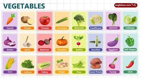 Vegetables Names for Kids with Pictures • Englishan
