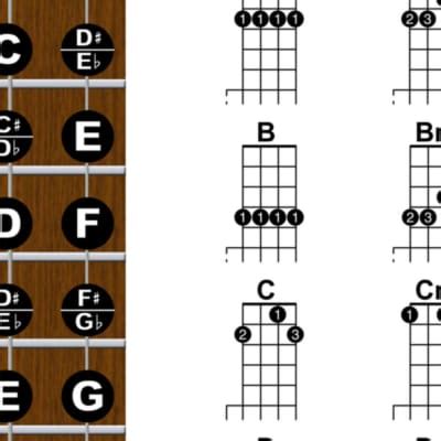 Image result for 5 String Banjo Note Chart
