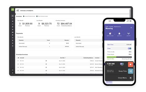 LMN Tutorial 的图像结果