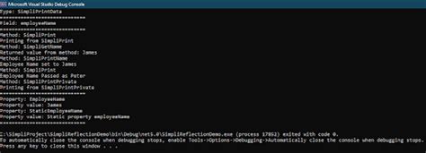 Reflection in C# Tutorial 的图像结果