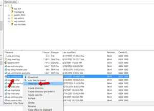 Error Establishing a Database Connection in WHM 的图像结果