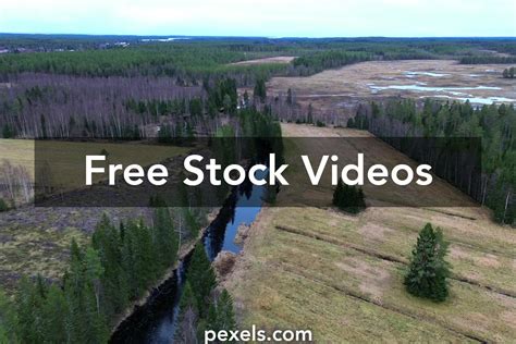 Image result for Video Full HD Local