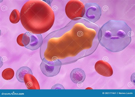 What Is In Ibuprofen That Thins Blood at Abigail Schardt blog