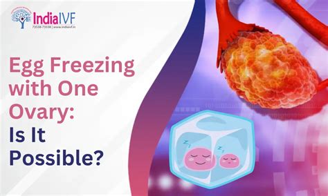 Egg Freezing with One Ovary | India IVF Fertility