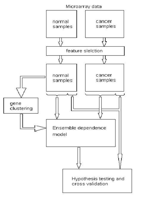Classification Procedure 的图像结果