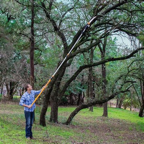 Fiskars 16-ft Fiberglass Pole Pruner in the Pole Pruners department at ...