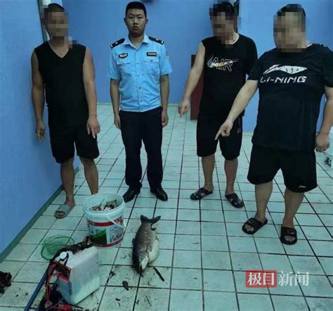 浙江湖州：鱼肥人欢冬捕忙-人民图片网