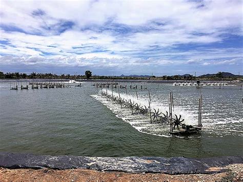 AIT Aquaculture | The Aquaculture program of Asian Institute of ...