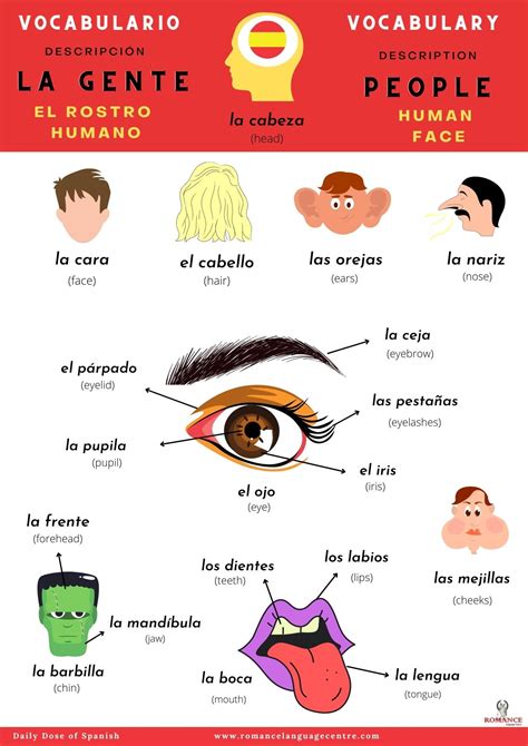 Learn Spanish - Romance Language Centre