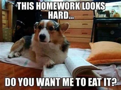 Image result for How to Destroy Homework Meme