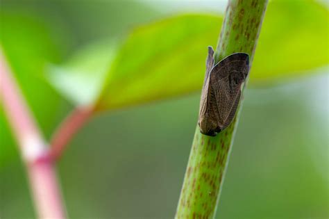 Image result for Spring Core vs Spring Webmvcm