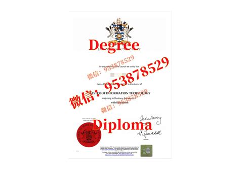 毕业证成绩单留学生学历学位认证