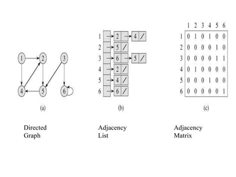 Elementary Graph Operations in Data Structures 的图像结果
