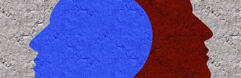 How bias in AI systems affect various domains