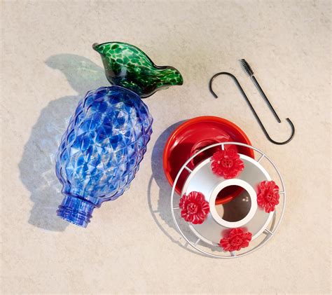 Ultimate Innovations Hummingbird Feeder w/ Moat and Bee Guards - QVC.com