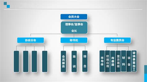 组织架构 - 深圳市半导体显示行业协会