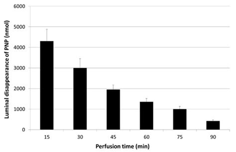 The Relative Importance of the Small Intestine and the Liver in Phase ...