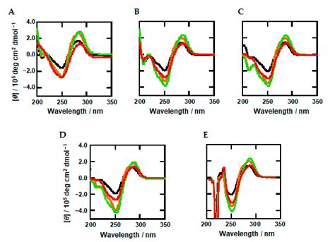 Combined Effects of Methylated Cytosine and Molecular Crowding on the ...
